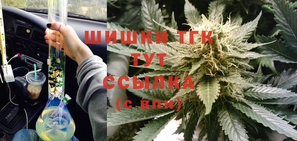 прущие крисы Инта