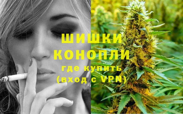 прущие крисы Инта
