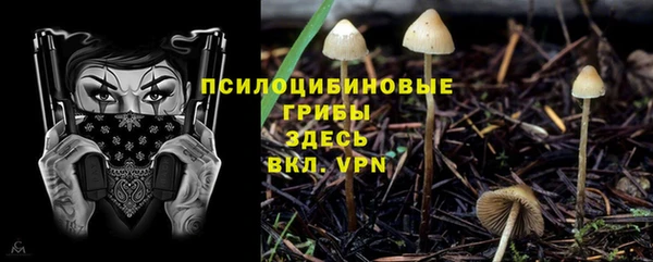 a pvp Инсар